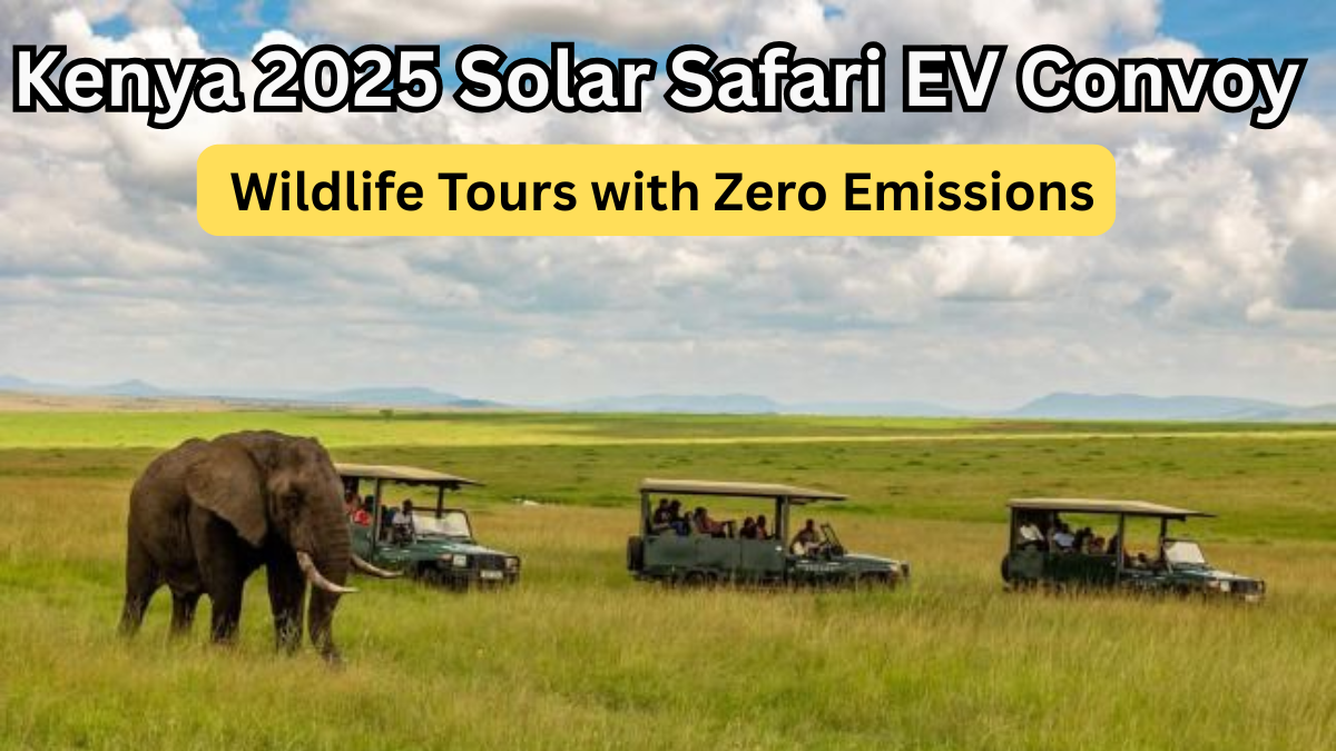 Kenya 2025 Solar Safari EV Convoy – Wildlife Tours with Zero Emissions